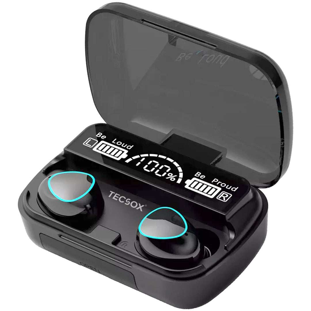 Introducing TecSox Max 10 True Wireless Earbuds: Elevate your audio ga