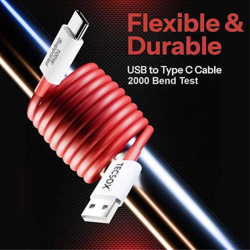 100W Cable | Fast Charging and Data Transfer | Under ₹200 - TecSox