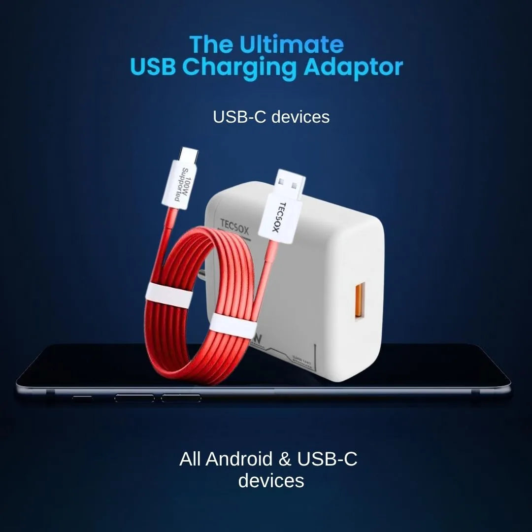 100W Charger + Cable | Fast Charging and Data Transfer