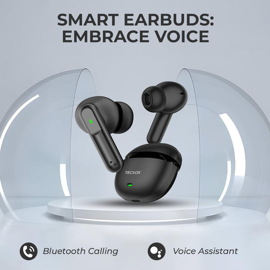 Buy TecSox Pro 2 Wireless Earbud With Lightweight - TecSox