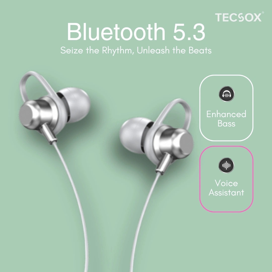 TecSox Verve Bluetooth Neckband | Metallic Touch + High Bass